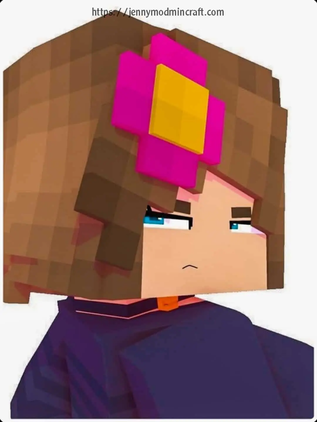 Minecraft Jenny Mods